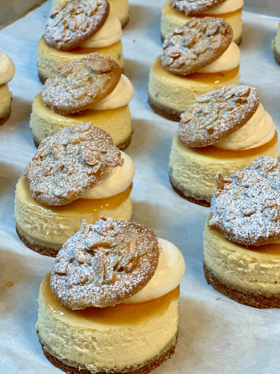 Vanilla Cheesecake with Almond-Brown Sugar Short Crust