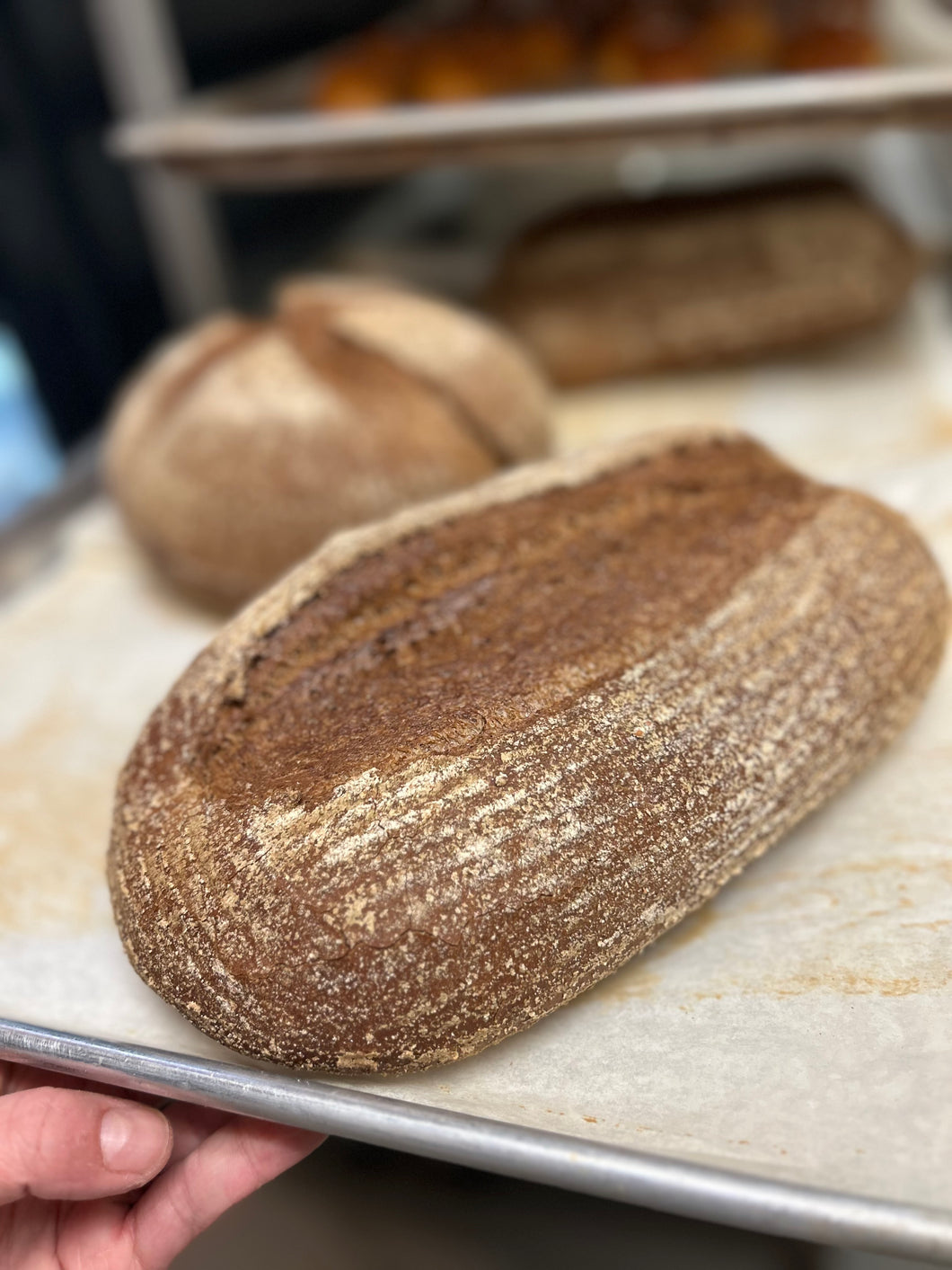 Dark Rye Loaf