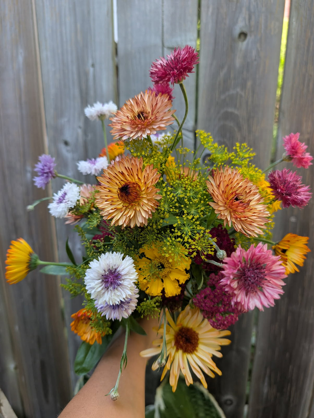 Farmer's Choice Bouquet from Andrea Dora Co.