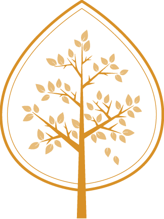 Cream of Broccoli Soup