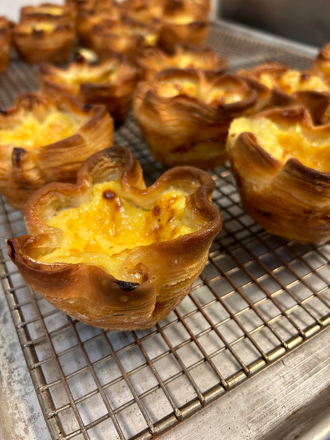 Egg Custard Tart